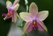 tn_gallery_5447_117_39149.jpg