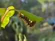tn_gallery_7048_276_4128.jpg