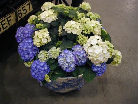 gallery_4971_282_128112.jpg