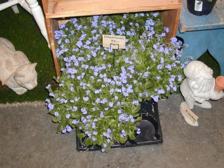 gallery_4971_282_57520.jpg