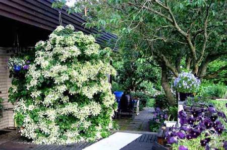 gallery_6592_31_1509.jpg