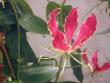 tn_gallery_4971_282_130616.jpg