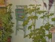 tn_gallery_4971_282_239831.jpg