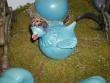 tn_gallery_4971_282_4033.jpg
