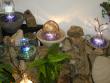 tn_gallery_4971_282_73768.jpg