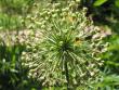 tn_gallery_6592_286_72352.jpg