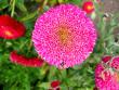 tn_gallery_6592_286_8777.jpg
