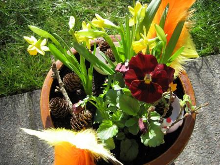 gallery_8205_288_29463.jpg