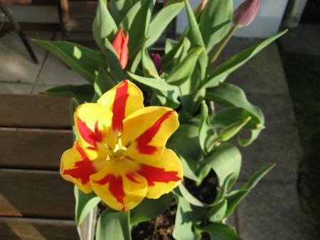 gallery_8205_288_30714.jpg