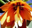 tn_gallery_2004_293_130258.jpg