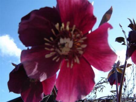 gallery_9372_302_24472.jpg