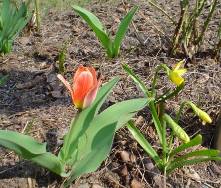 gallery_9983_292_18715.jpg