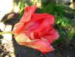 tn_gallery_4113_49_23777.jpg