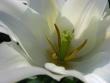 tn_gallery_4113_49_27973.jpg
