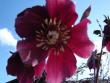 tn_gallery_9372_302_24472.jpg