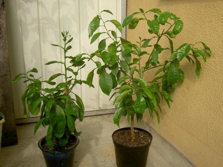 gallery_1251_261_21858.jpg