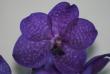 tn_gallery_5447_117_12061.jpg