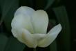 tn_gallery_5447_41_17079.jpg