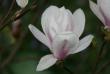 tn_gallery_5447_41_33221.jpg