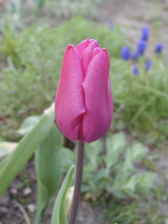gallery_9464_27_359664.jpg
