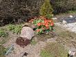 tn_gallery_5111_311_34171.jpg