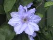 tn_gallery_5111_311_43670.jpg