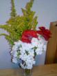tn_gallery_7972_306_410.jpg