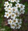 tn_gallery_8040_314_18741.jpg