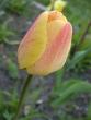 tn_gallery_9464_27_327947.jpg