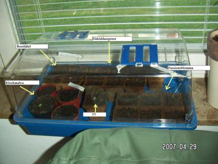 gallery_10023_321_212653.jpg