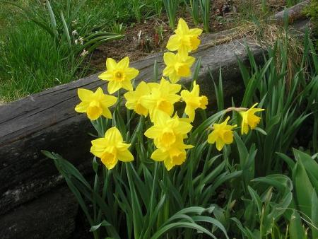 gallery_5006_197_49497.jpg