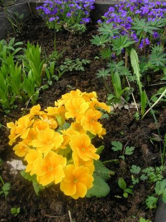 gallery_5006_197_6705.jpg