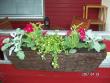 tn_gallery_10023_322_64155.jpg
