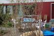 tn_gallery_5473_319_113174.jpg