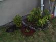 tn_gallery_3388_343_3579.jpg