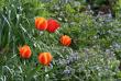tn_gallery_5447_41_922.jpg
