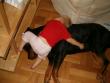 tn_gallery_941_94_88272.jpg