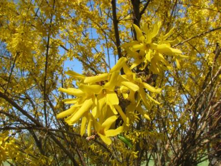 gallery_10108_346_94723.jpg