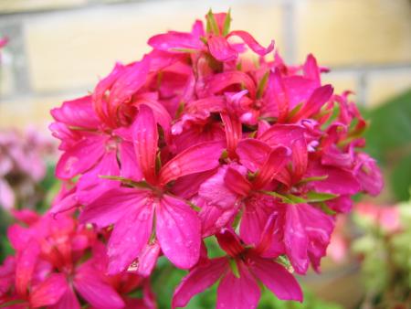 gallery_1308_58_298404.jpg