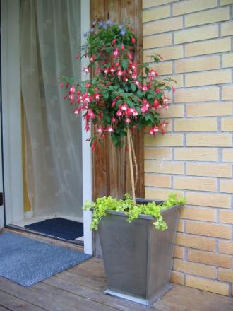 gallery_1308_350_14357.jpg