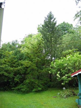 gallery_6039_353_1077.jpg