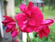 tn_gallery_1308_58_113725.jpg