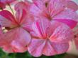 tn_gallery_1308_58_8460.jpg