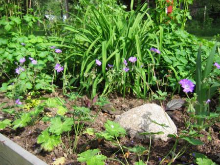 gallery_1308_44_57746.jpg
