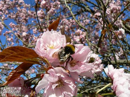 gallery_8040_314_20887.jpg
