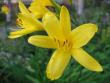 tn_gallery_1308_40_4112.jpg