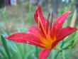 tn_gallery_1308_40_55049.jpg