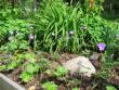 tn_gallery_1308_44_57746.jpg