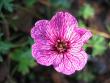 tn_gallery_1308_44_7973.jpg