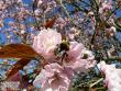 tn_gallery_8040_314_20887.jpg